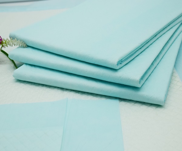 Aiwina Waterproof Bed Wetting Disposable Mattress Protector 